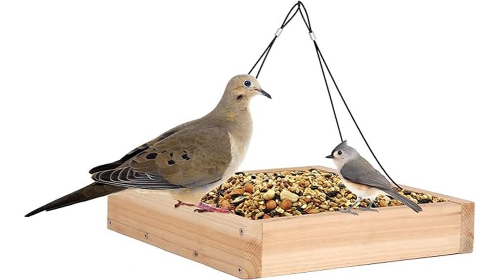 rustic cedar bird feeder