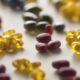 top berberine supplement picks