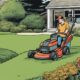 top rated lawn mowers 2024