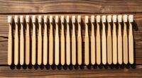 eco friendly bamboo toothbrushes