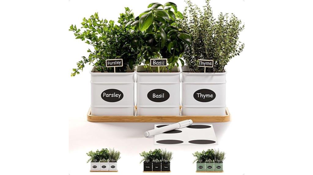 indoor herb planter set