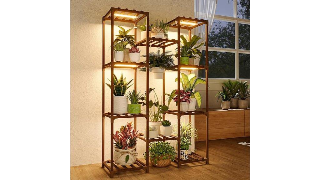 indoor plant grow setup
