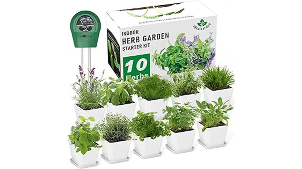 windowsill herb garden kit