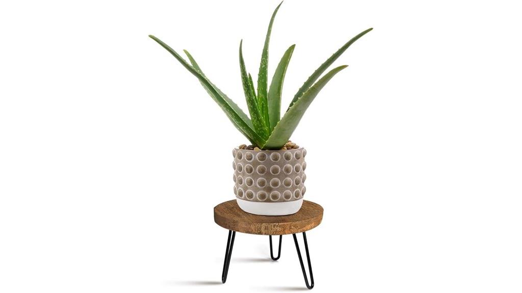 wooden plant stand versatile
