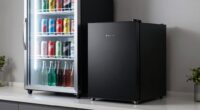 choosing the right compact fridge