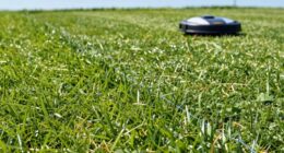 lawn mower boundary wiring