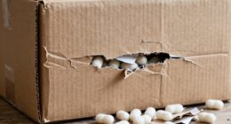 shipping damage prevention tips