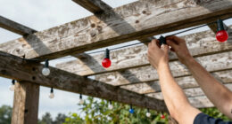 11 Best Patriotic Outdoor String Lights in 2026